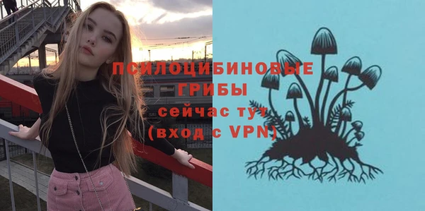 спиды Яранск