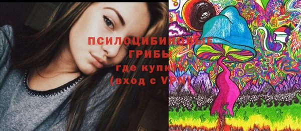 крисы Кукмор