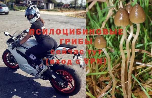 крисы Кукмор
