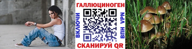 закладки Юрга Галлюциногенные грибы Cubensis