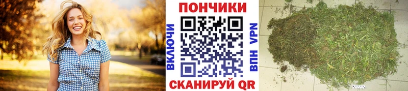 хочу наркоту  Юрга  Марихуана гибрид 